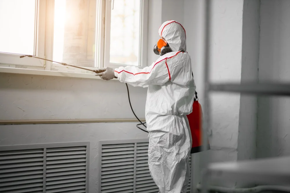 Professional mold remediation services in Windsor, CT